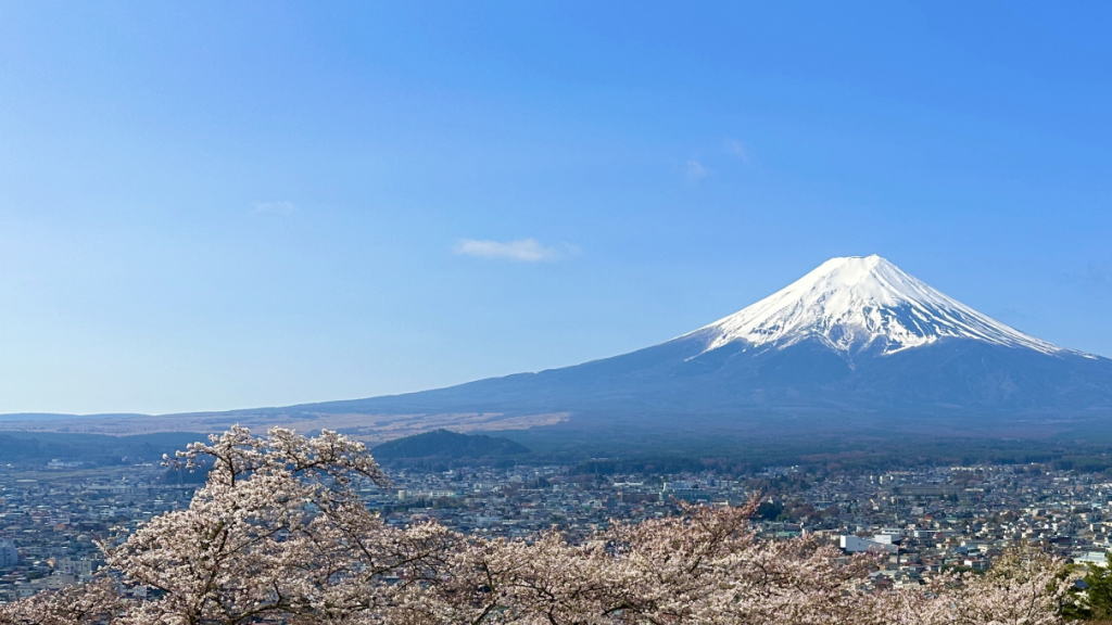 富士山と桜をみて自然体でのありがとうイメージ画像